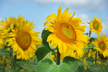 Similar image 22015465