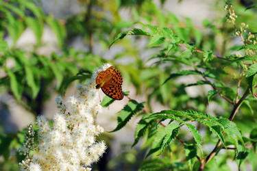 Similar image 22015471