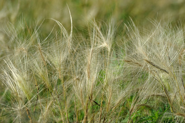 Similar image 22015670