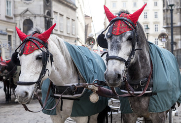 Similar image 22011989