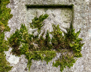 Similar image 22012075