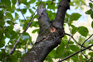 Similar image 22014091