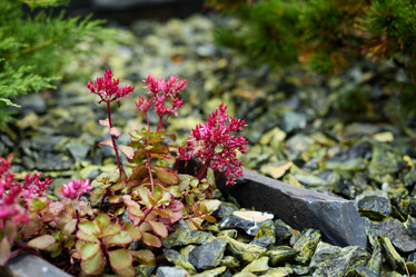 Similar image 22014093