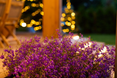 Similar image 22014137