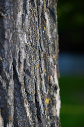 Similar image 22014142