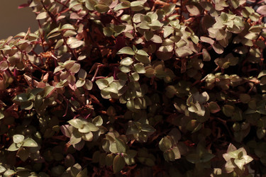 Similar image 22014143