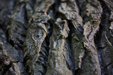 Similar image 22014145