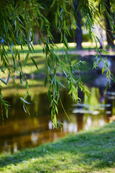 Similar image 22014320