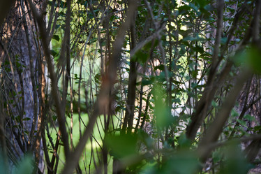 Similar image 22014321