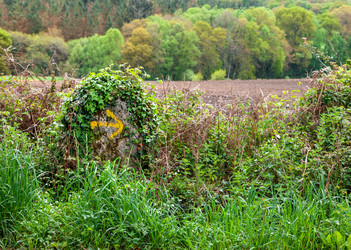 Similar image 22011654