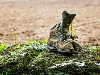 Similar image 22011663