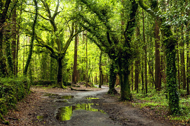 Similar image 22011666