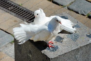 Similar image 22015475