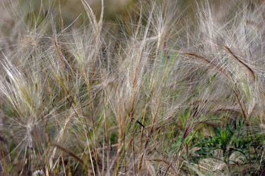 Similar image 22015485