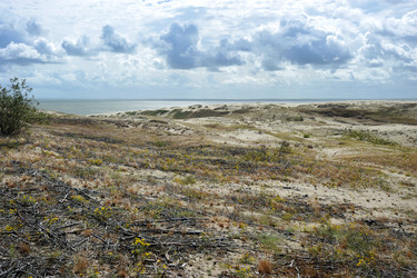 Similar image 22015672