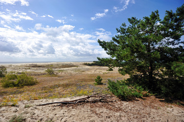 Similar image 22015678