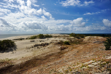 Similar image 22015681