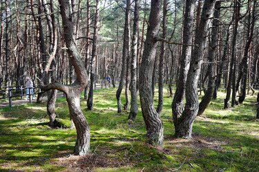 Similar image 22015682