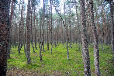 Similar image 22015685