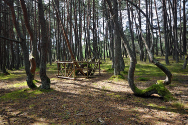 Similar image 22015691