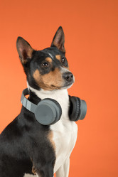 Similar image 22008649