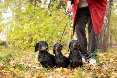 Similar image 22008653