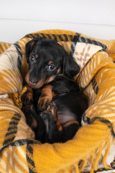 Similar image 22008654