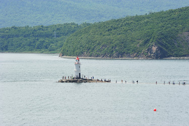 Similar image 22015694