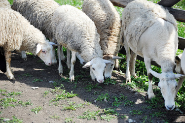 Similar image 22015793