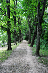 Similar image 22015796