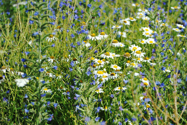 Similar image 22015798