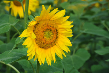 Similar image 22015841