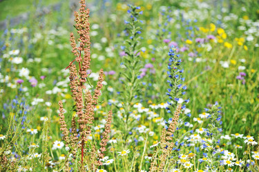 Similar image 22015860