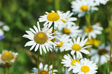 Similar image 22015862