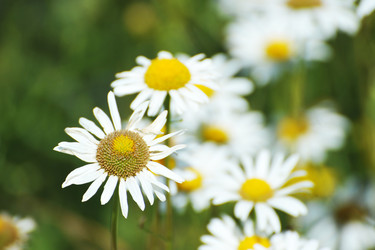 Similar image 22015863