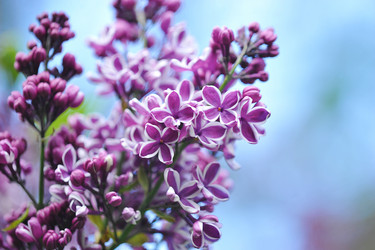 Similar image 22015890