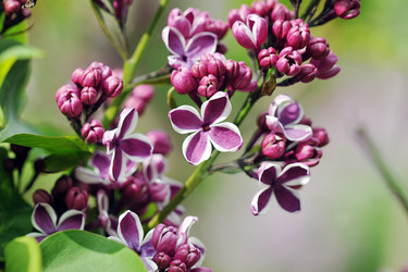 Similar image 22015957