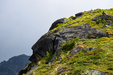 Similar image 22007688