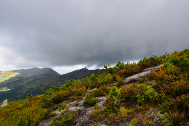 Similar image 22007692