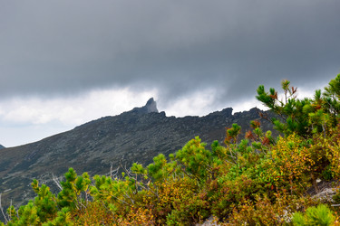 Similar image 22007693