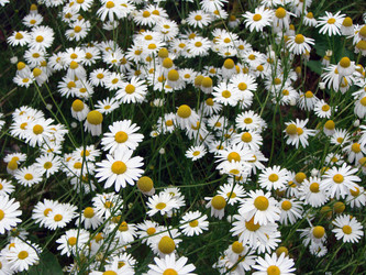 Similar image 22007882