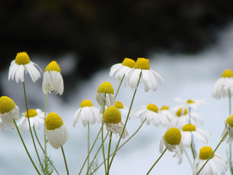 Similar image 22007883