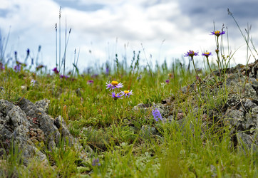 Similar image 22008672