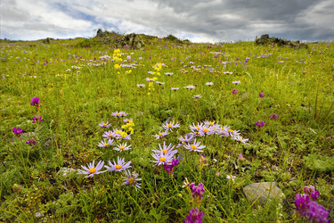 Similar image 22008674