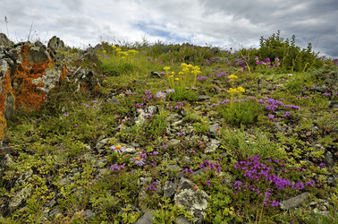 Similar image 22008675