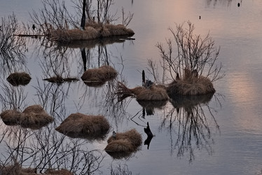 Similar image 22008762