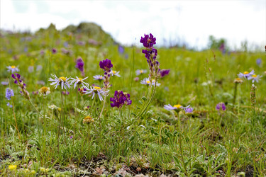 Similar image 22008763