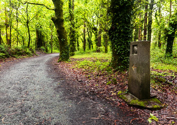 Similar image 22012763