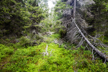 Similar image 22011683