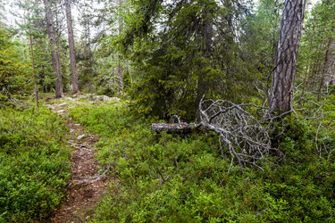 Similar image 22011685